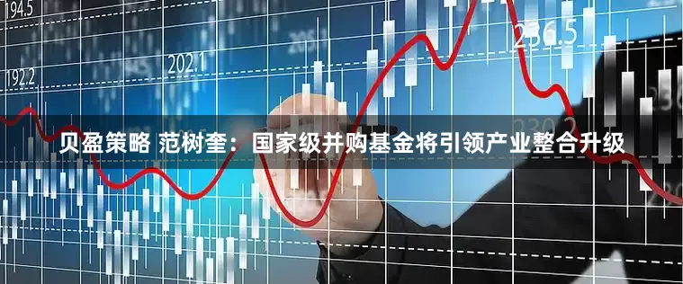 贝盈策略 范树奎：国家级并购基金将引领产业整合升级